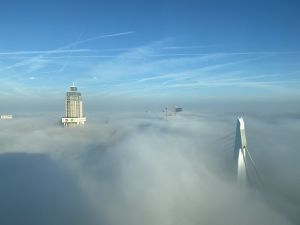 Zalmhaven Rotterdam bereikt hoogste punt van Benelux